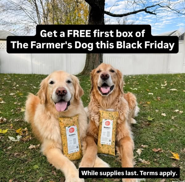 themgoldenboys ad