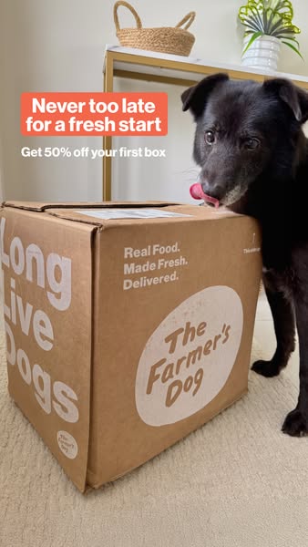 An image ad for The Farmer's Dog, featuring a black dog with its tongue out next to a box from the company. The ad p
