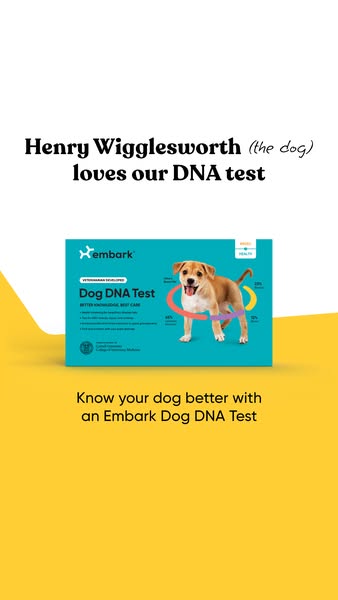 This ad shows the Embark Dog DNA Test is a great product to know more about your dog.