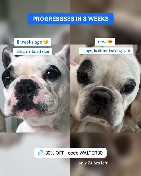 Walter Geoffrey ad