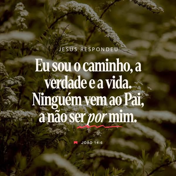 This image ad features a quote from the Bible, John 14:6, in Portuguese, set against a blurred background of white flowe