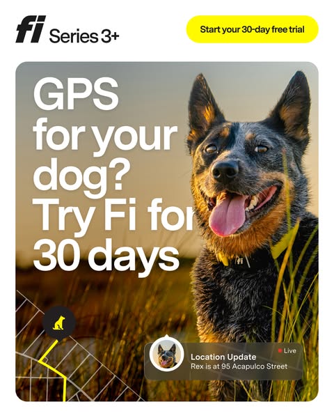 The ad promotes Fi dog collars. The image shows a close-up of a dog wearing the Fi collar, along with text highlighting 