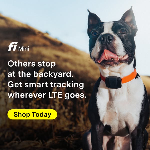 This image ad for Fi Mini positions the brand as a smart tracking solution for dogs that goes beyond the backyard, unlik