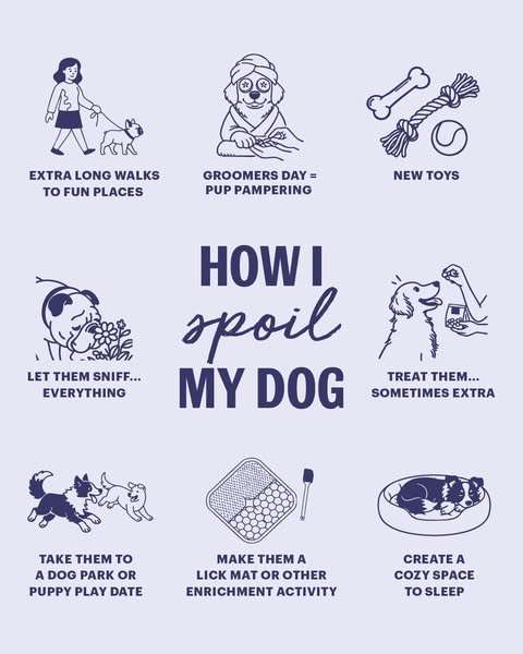 The ad is an informational grid, with 9 squares, each with a different idea for how to spoil a dog. The ad is designed w