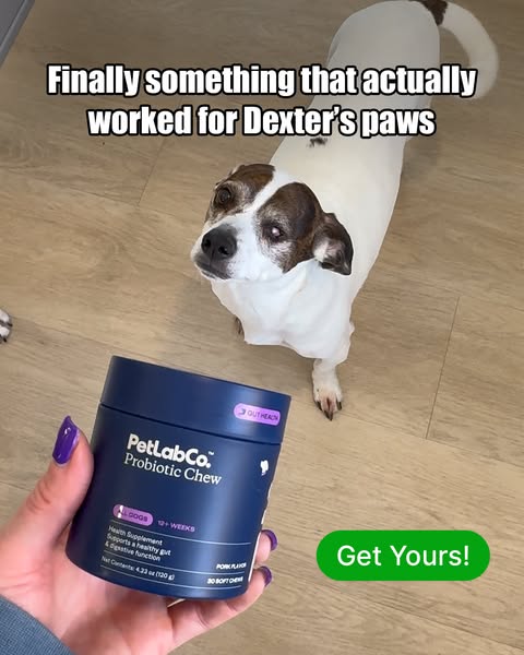 den_and_dex ad