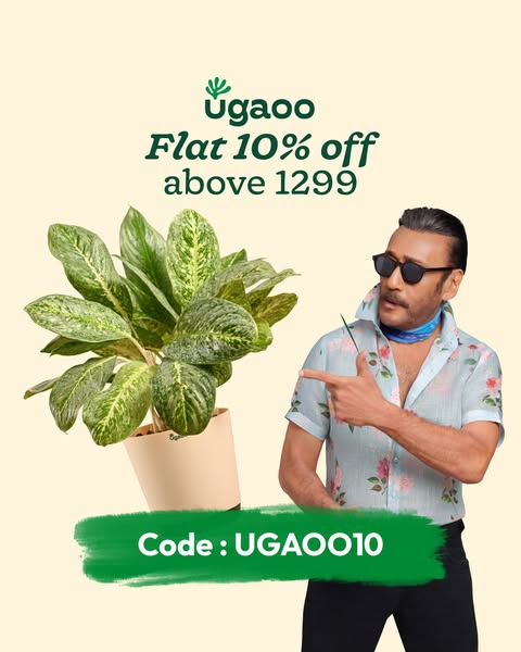 This image ad from Ugaoo features a green potted plant and an Indian celebrity pointing at the plant to promote a discou