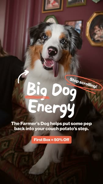 This ad for The Farmer's Dog features a happy dog sitting on a couch, with text overlay promoting the brand and a 50