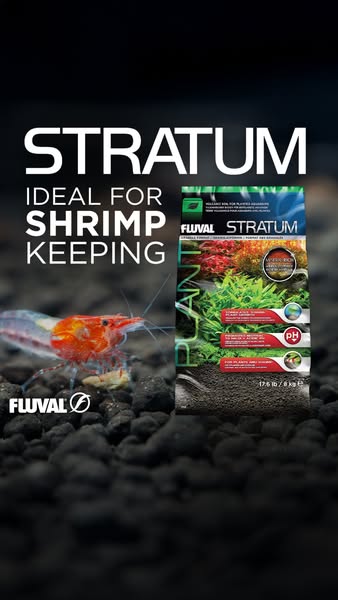 This ad showcases Fluval Stratum, an aquarium substrate ideal for shrimp keeping. The ad features an image of the produc