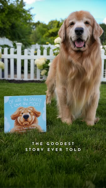 Tucker Budzyn ad