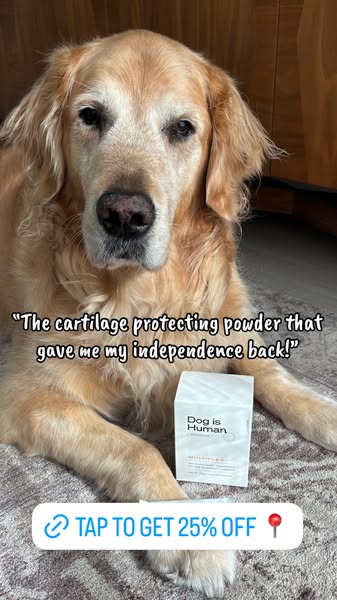 Dog is Human ad