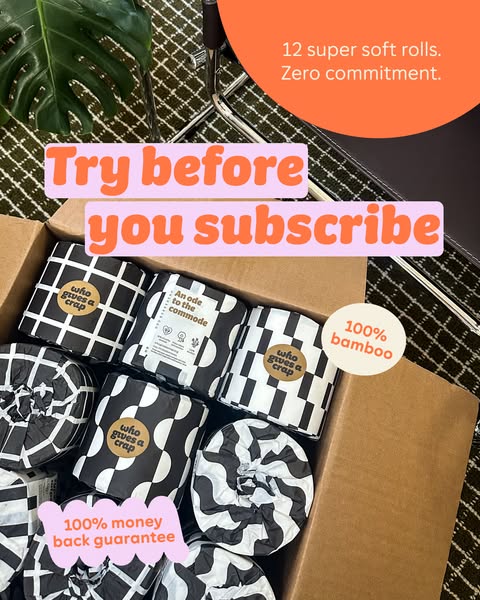 This image ad showcases Who Gives A Crap toilet paper rolls in a box, emphasizing the opportunity to try before subscrib