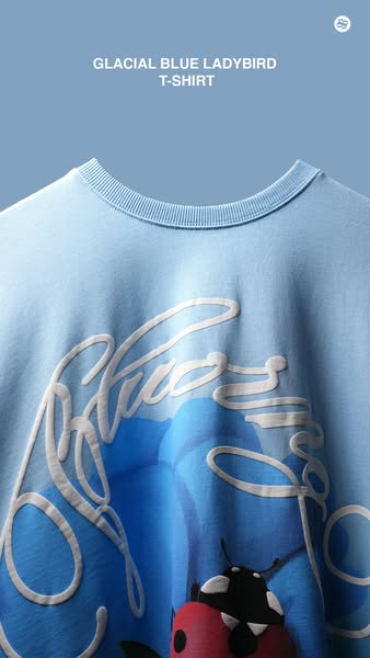 This ad features the 'Glacial Blue Ladybird T-Shirt'. The ad emphasizes the shirt's design and color.
