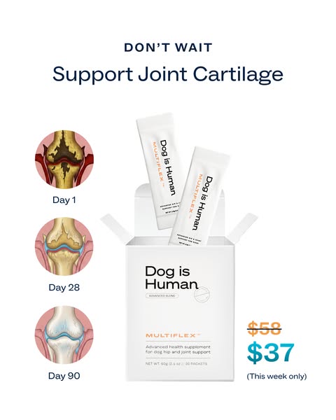 Dog is Human ad