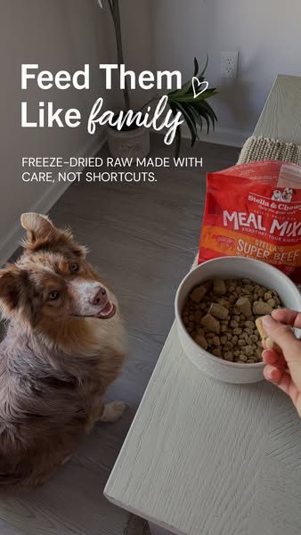 An ad for Stella & Chewy's dog food features a dog looking up at a hand offering the food. The ad emphasizes the