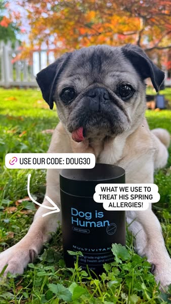 Doug The Pug ad