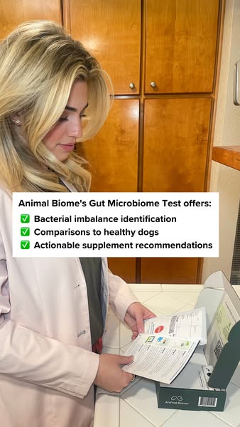 Dogtor Tay ad
