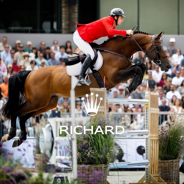 Richard Vogel Sporthorses ad