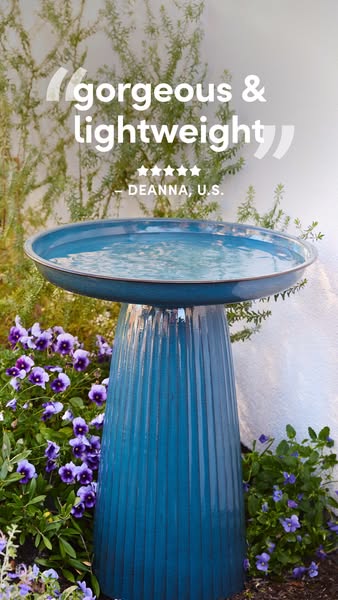 This ad features an outdoor shot of a blue birdbath in a garden setting. A testimonial at the top of the ad highlights t