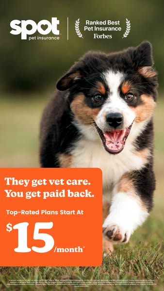 Spot Pet Insurance ad