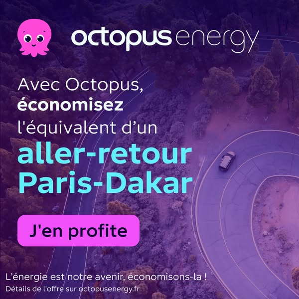 This image ad from Octopus Energy, written in French, promotes energy savings equivalent to a trip between Paris and Dak