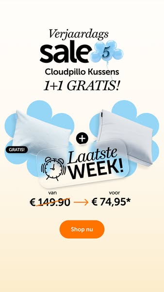 This image ad promotes Cloudpillo pillows with a limited-time 1+1 offer to celebrate a birthday sale.