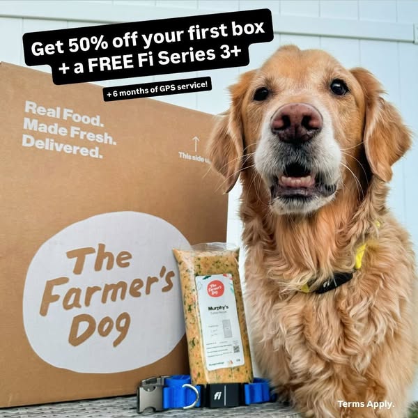themgoldenboys ad