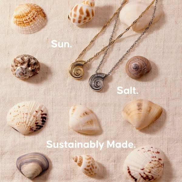 An overhead shot of spiral seashell pendant necklaces in gold and silver accompanied by loose shells. The necklaces are