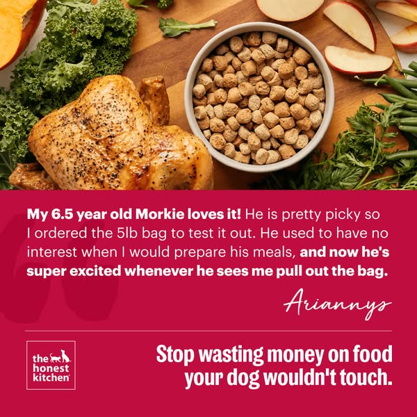 This image ad features a testimonial from a dog owner about how much their picky Morkie loves The Honest Kitchen's d