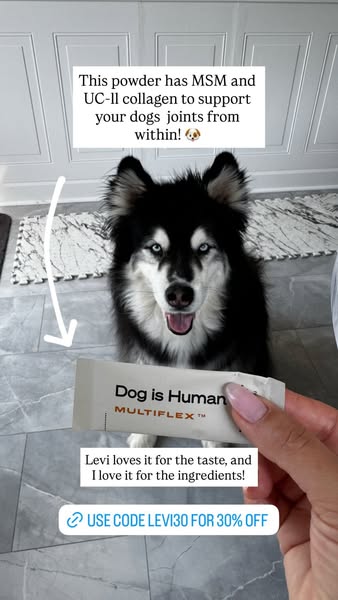 Levi the Husky Rescue ad