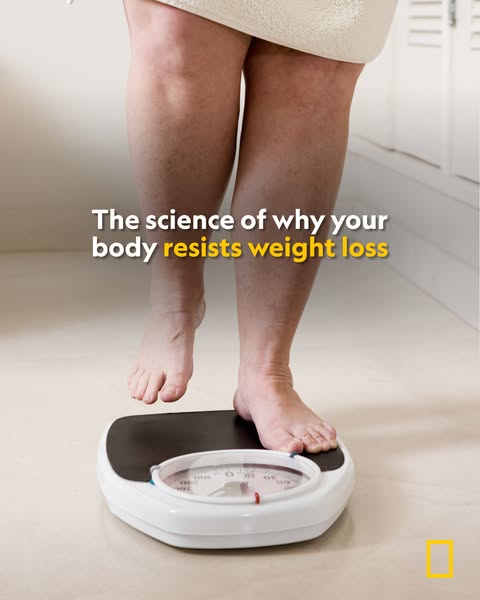 National Geographic ad