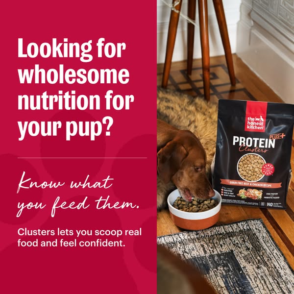 This ad promotes The Honest Kitchen Protein Clusters dog food, emphasizing its wholesome nutrition and real food ingredi