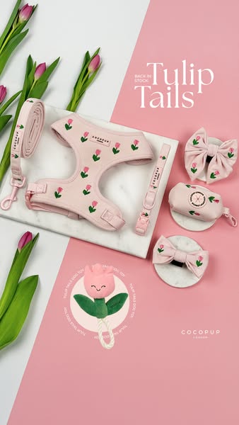 This ad showcases a range of matching pet accessories with a floral theme. The products include a harness, leash, collar