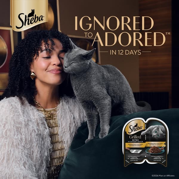 An image ad features a woman and a gray cat with the text, "Ignored to Adored in 12 Days" along with a package