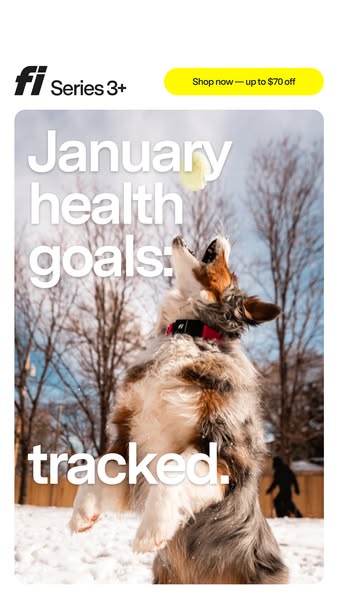 This image ad for Fi Series 3+ features a dog jumping to catch a tennis ball in a snowy outdoor setting. The ad highligh