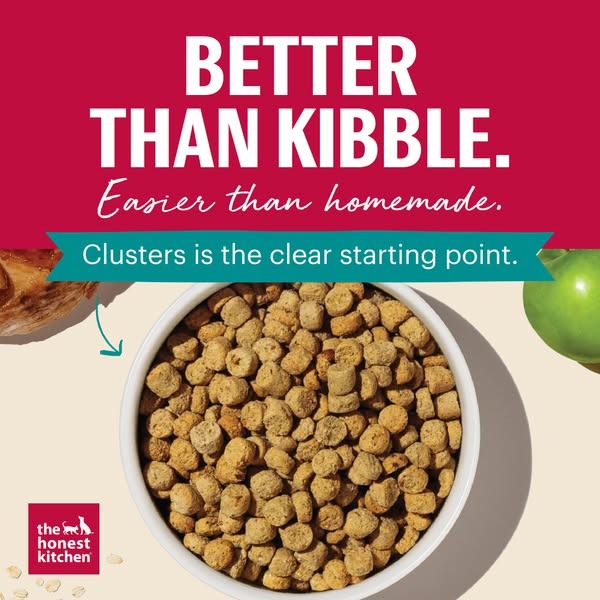 The ad features a bowl of The Honest Kitchen clusters dog food. The text in the ad states the dog food is "BETTER T