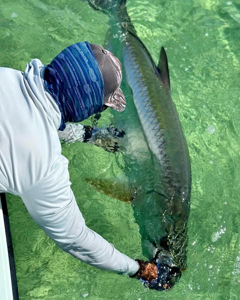 FishingFlamingo.com ad