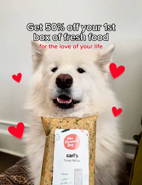Carl The Sammy ad