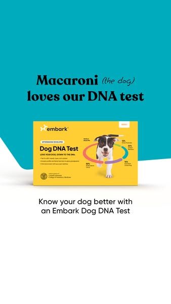 An Embark ad features a playful endorsement from a dog named Macaroni to promote their DNA test for dogs. The ad highlig