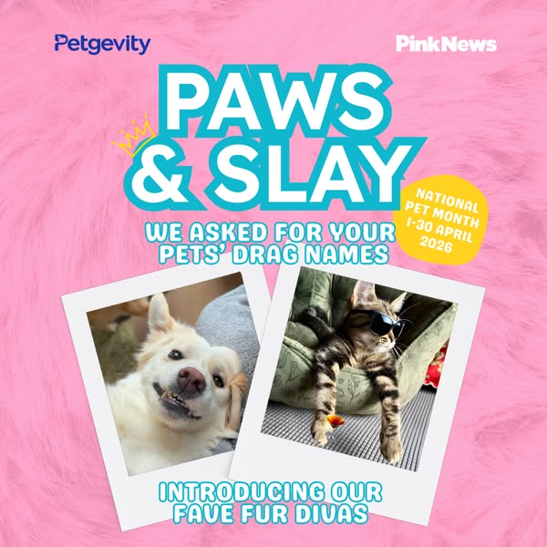 PinkNews 🏳️‍🌈🏳️‍⚧️ ad