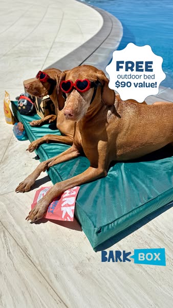 An image ad featuring two dogs relaxing on a BarkBox outdoor bed by a pool. The ad promotes a free outdoor bed valued at