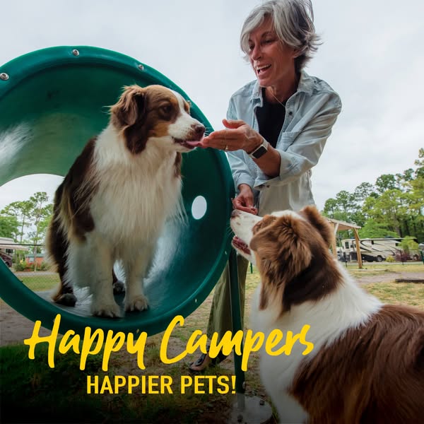 This ad is promoting a pet-friendly camping ground. The ad features an image of a woman with two dogs on the camping gro