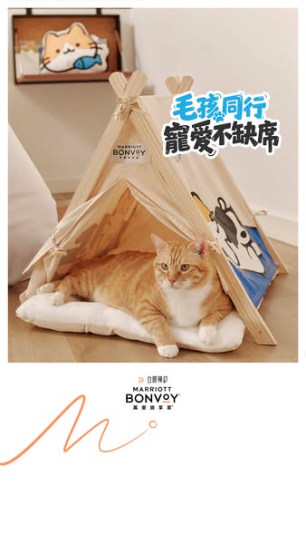 This image ad features a Marriott Bonvoy-branded pet tent with a cat inside, promoting pet-friendly travel accommodation
