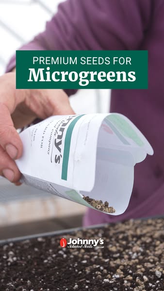 This ad shows a packet of Johnny's Selected Seeds being poured into a tray of soil. The ad is promoting the brand