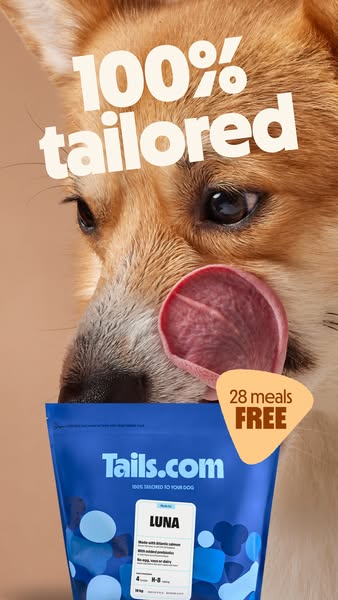 The ad features a close-up shot of a dog who is licking its nose while the bag of dog food is right underneath. The ad i