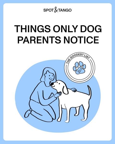 The ad targets dog owners and suggests that Spot & Tango is on "The Goodest List" due to their understandi
