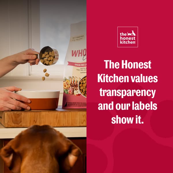 This image ad for The Honest Kitchen features a bag of dog food, a dog owner dispensing a scoop of kibble, and a dog loo