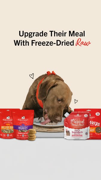 The ad promotes Stella & Chewy's freeze-dried raw dog food, emphasizing the ease of upgrading a dog's meal w