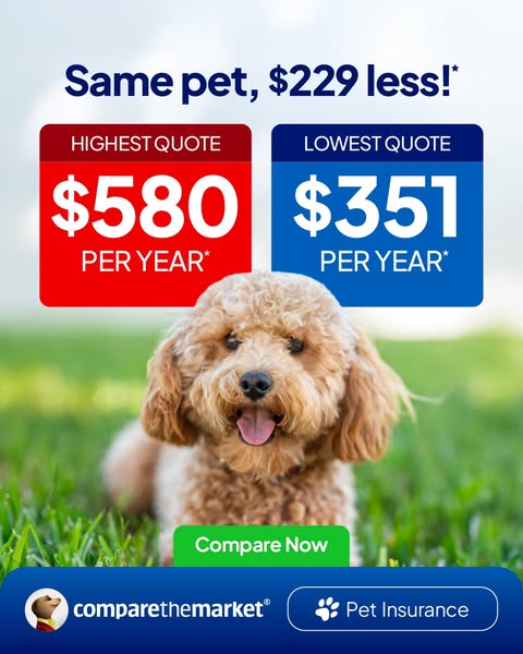 ComparethemarketAU ad