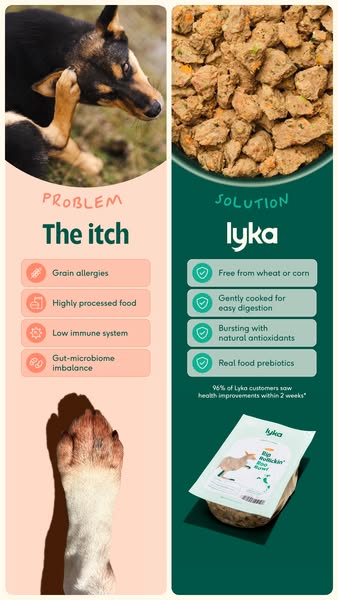 Lyka Pet Food ad