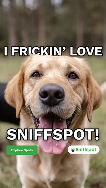 This ad promotes Sniffspot, a service for renting private dog parks. It features a close-up of a golden lab's face, 
